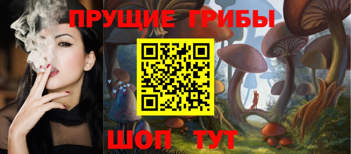 Псилоцибиновые грибы Psilocybe  купить   Нурлат  Вход с VPN 